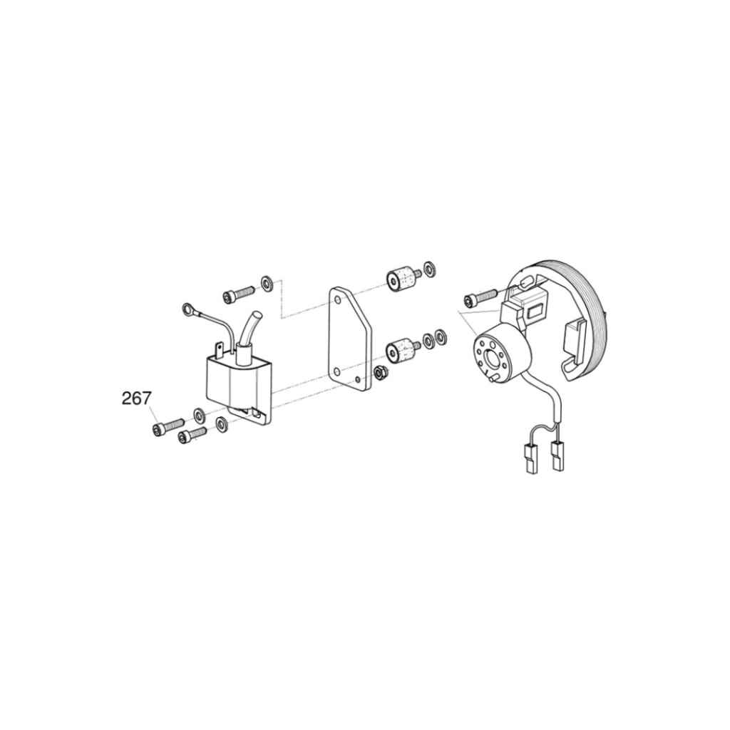 267 - KA 100 Ignition Coil Screw (M5 x 20)