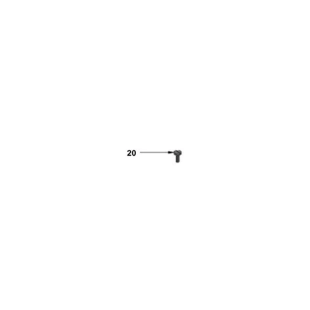 20 - Tillotson Fuel Strainer Cover Screw (Phillips Head)
