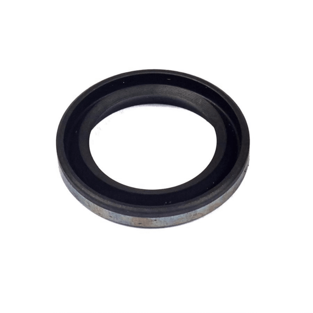 Oil Seal (Magneto Side)