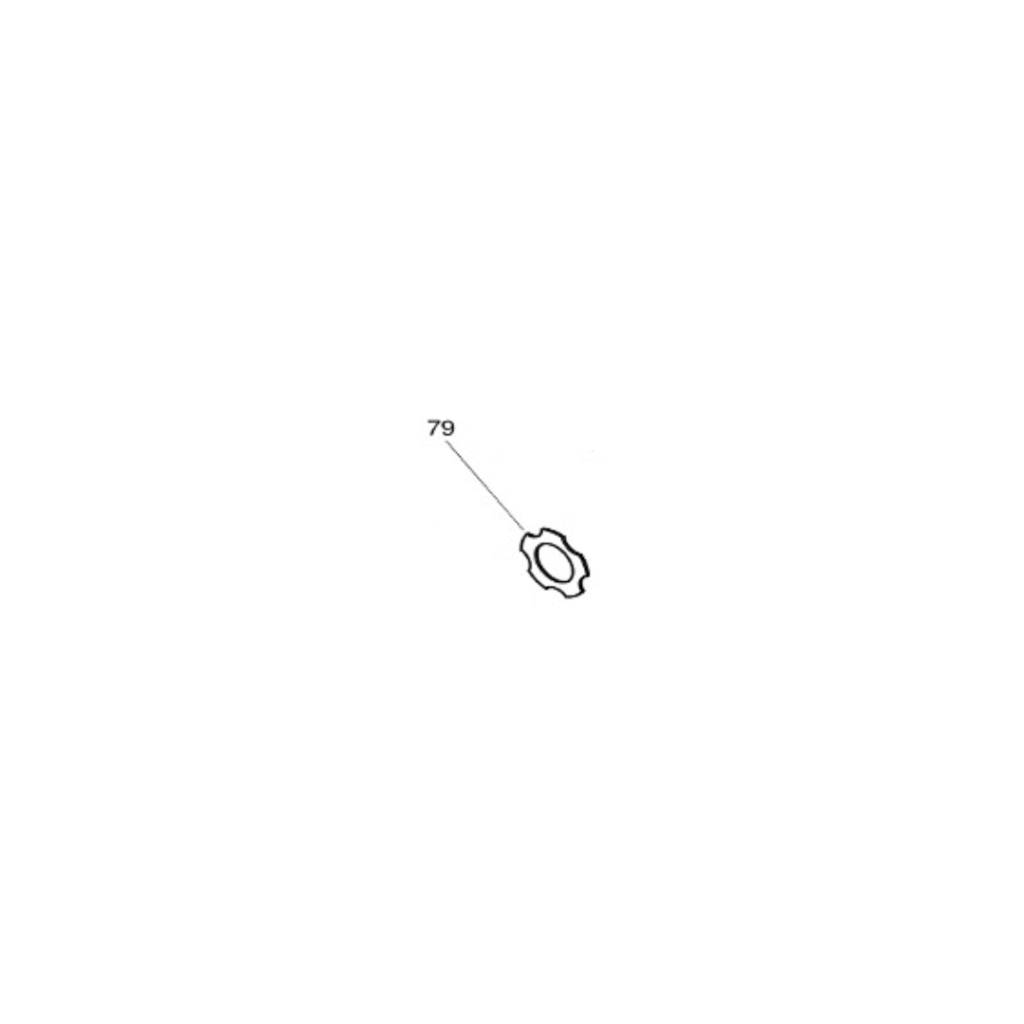 079 - Silver Bronze Washer