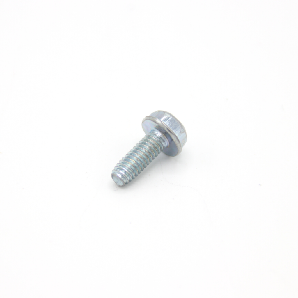Cylinder Heat Shield Screw