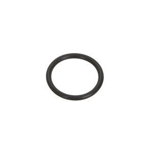 Righetti Fuel Tank Cap O-Ring