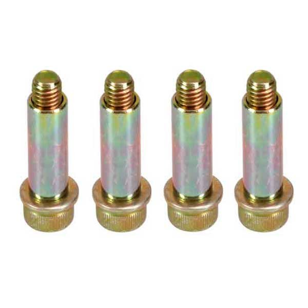 Righetti Brake Pad Screw Kit