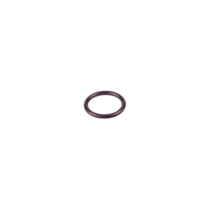16 | Cap O-Ring