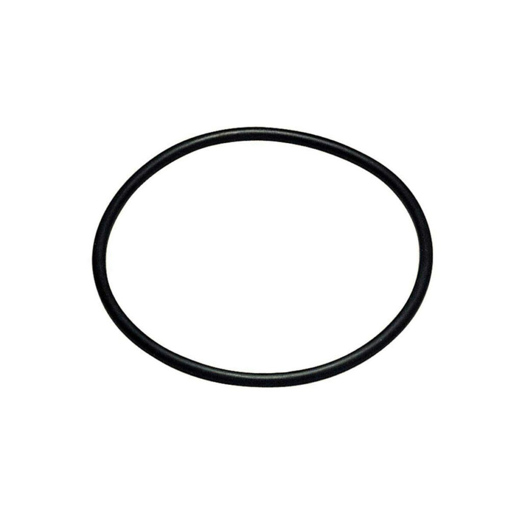 Water Pump Drive Belt